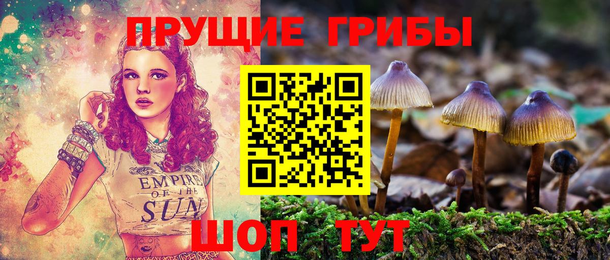 Галлюциногенные грибы мухоморы Ржев